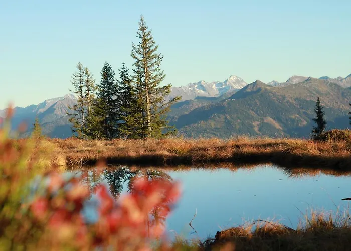 Fruehstueckspension Bachseitenhof 게스트하우스 3*